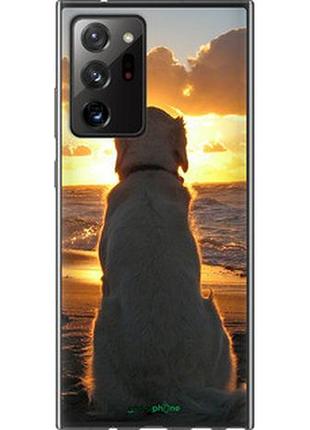 Чехол на samsung galaxy note 20 ultra закат и собака "3966t-2051-2448"