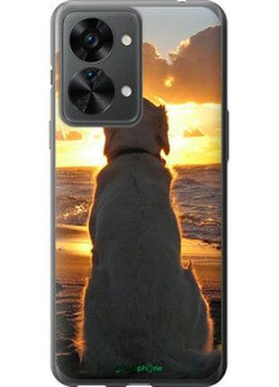 Чохол на oneplus nord 2t закот і собака "3966u-2640-2448"