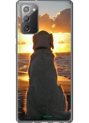 Чохол на samsung galaxy note 20 захід і собака "3966u-2036-2448"