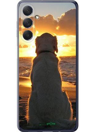 Чехол на samsung galaxy m54 закат и собака "3966u-3039-2448"