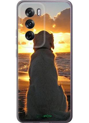 Чехол на oppo reno12 5g закат и собака "3966u-3742-2448"