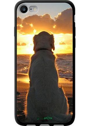 Чехол на iphone se 2022 закат и собака "3966b-3737-2448"