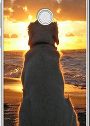 Чохол на huawei p8 lite (2017) закот і собака "3966u-777-2448"