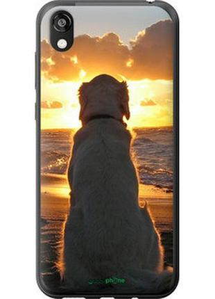Чехол на huawei honor 8s закат и собака "3966t-1679-2448"