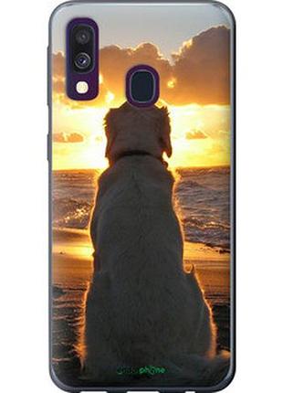 Чехол на samsung galaxy a40 2019 a405f закат и собака "3966u-1672-2448"