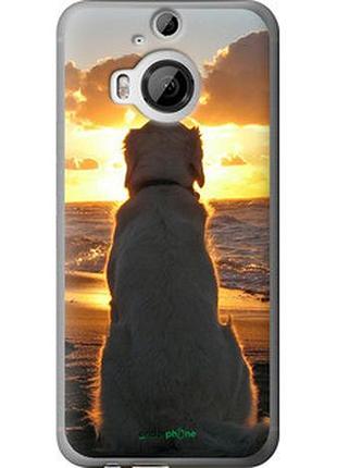 Чехол на htc one m9 plus закат и собака "3966u-134-2448"