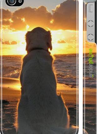Чохол на iphone 4 закот і собака "3966c-15-2448"