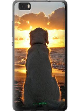 Чехол на huawei ascend p8 lite закат и собака "3966u-126-2448"