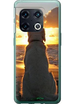 Чохол на oneplus 10 pro захід і собака "3966u-2588-2448"
