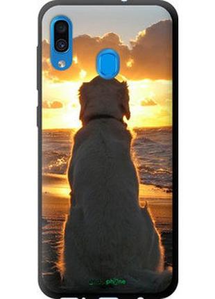 Чехол на samsung galaxy a20 2019 a205f закат и собака "3966b-1761-2448"