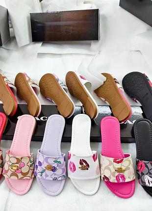 Шльопанці coach