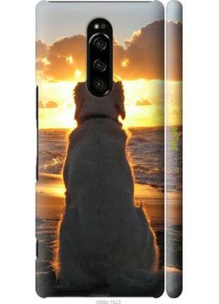 Чехол на sony xperia xz4 закат и собака "3966m-1623-2448"