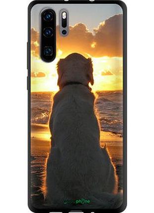 Чехол на huawei p30 pro закат и собака "3966b-1621-2448"
