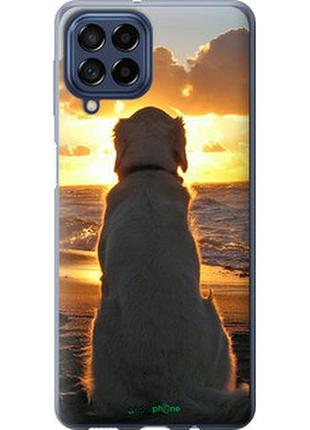 Чехол на samsung galaxy m53 m536b закат и собака "3966u-2608-2448"