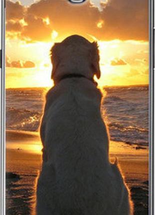 Чохол на samsung galaxy note 2 n7100 захід і собака "3966t-17-2448"