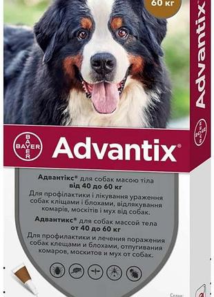 Адвантикс капли на холку от блох и клещей для собак 40-60 кг, 1пип/6мл