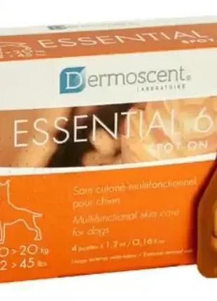 Капли по уходу за кожей и шерстью собак dermoscent essential-6 spot-on for dog (10-20 кг) 4 піпетки упаковка