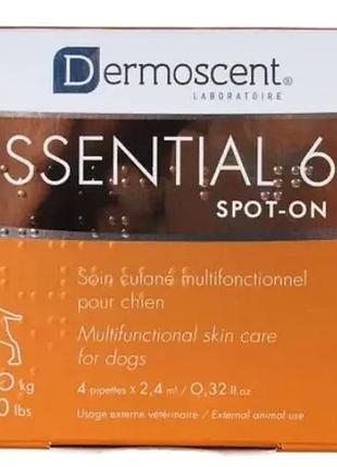 Капли по уходу за кожей и шерстью собак dermoscent essential-6 spot-on for dog (20-40 кг) 1 піпетка