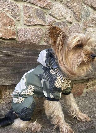Dog style • летние комбинезоны для собак s1