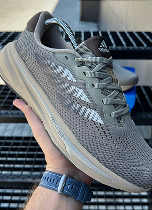 Supernova rise 8