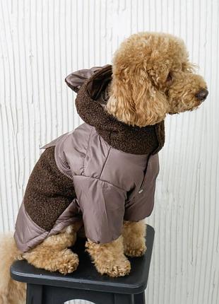 Куртка для собак teddy шоколад k-99