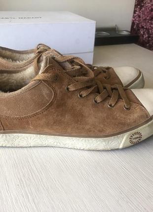 Ugg кеди оригінал