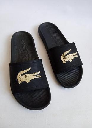 Тапки lacoste 2