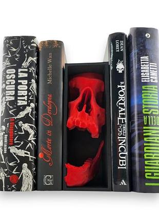 Книжковий куточок «череп» — портал у темний світ