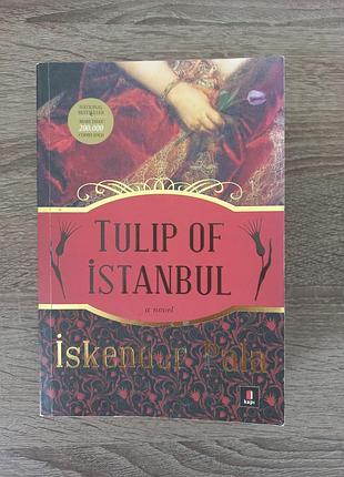 Tulip of istanbul / pala iskender