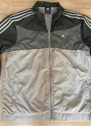 Вітровка олмпійка adidas