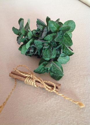 Мята mentha micrantha на чай пучок aurumsheboutique