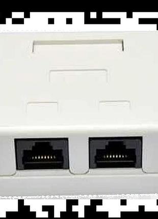 Epnew 2хutp, кат. 6, rj45 розетка наружная