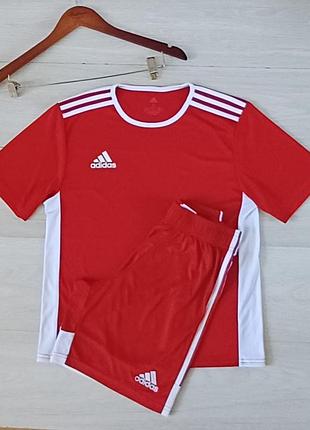 Спортивный костюм  adidas  шорты  и футболка