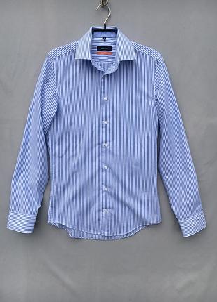 Сорочка seidensticker xs/36/14 біла в блакитну смужку slim fit 100% бавовна