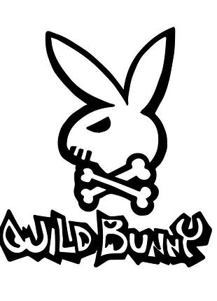 Наклейка череп wild bunny черн, 20х20 см