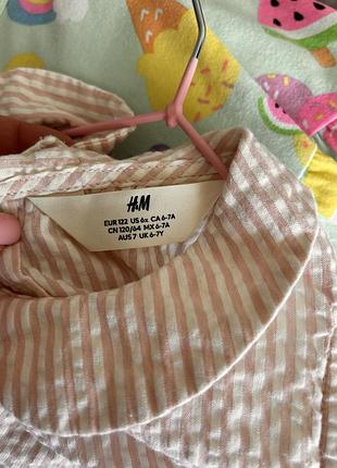 Сукня h&m 116-122 см. 3