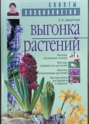Выгонка растений 	завадская л.