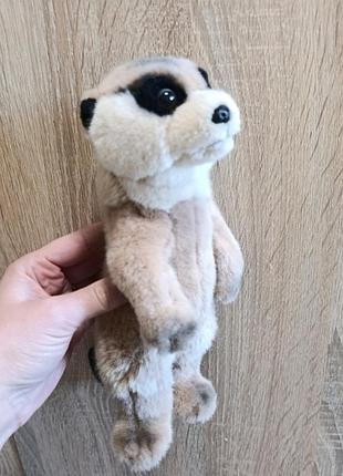 М'яка іграшка сурікат keel toys