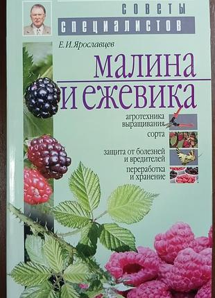 Малина и ежевика (с цв. вкл.) 	ярославцев е. и.