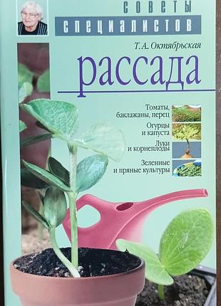 Рассада 	октябрьская т. а.
