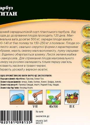 Тыква титан 10г. wos 2