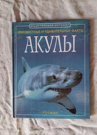 Акулы. неизвестные и удивительные факты