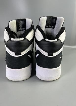 Кросівки adidas 5