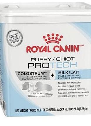 Royal canin puppy pro tech dog — добавка до соковитого молока пакет 50 грамів 300 грамів заводське паковання