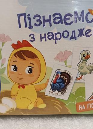 Во дворе. познаем с рождения. 5 игр для раннего гармоничного развития