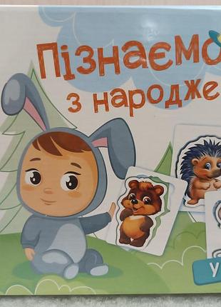 В лесу. познаем с рождения 0+