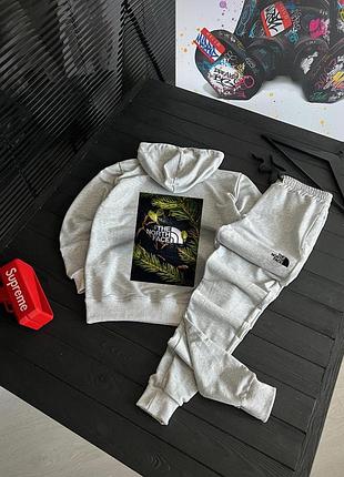 Спортивный костюм the north face