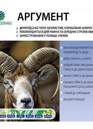 Цукровий буряк аргумент 1 кг