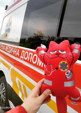 Кот доктор в машину.