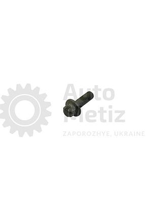 Болт (м8х1.25x25) со звездой и фланцем